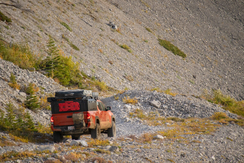 Kodiak Cap - Image 15
